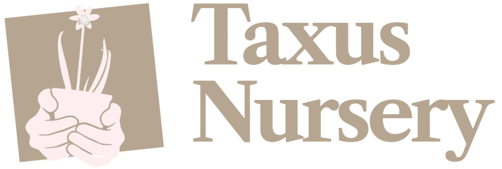 taxusnursery.com